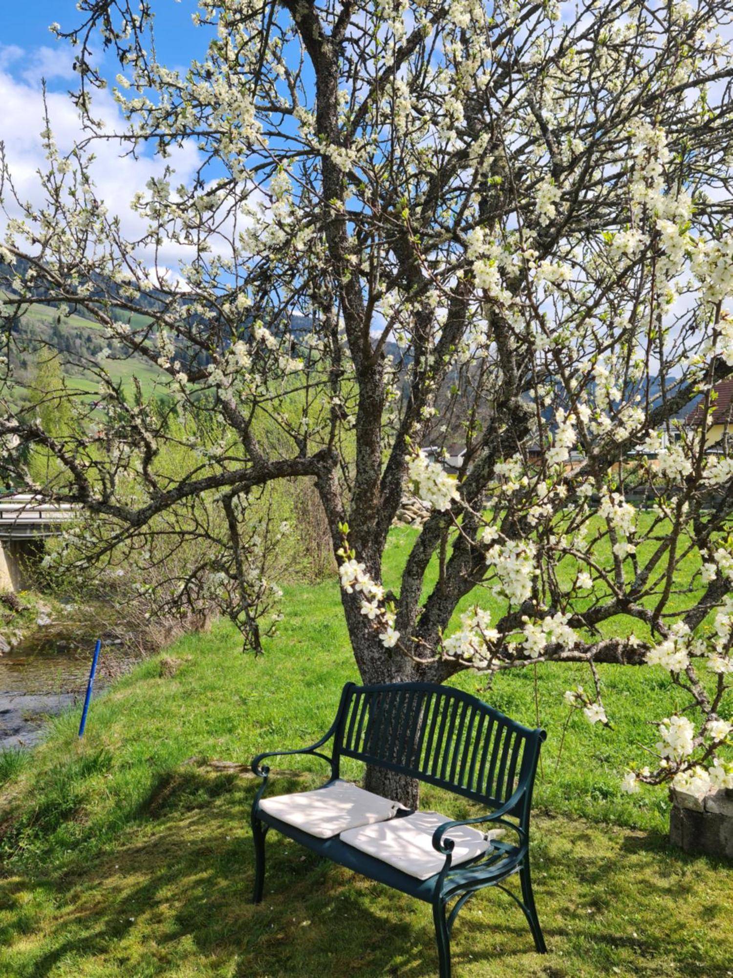 Kreischberg Deluxe With Finnish Sauna Sankt Lorenzen ob Murau Dış mekan fotoğraf